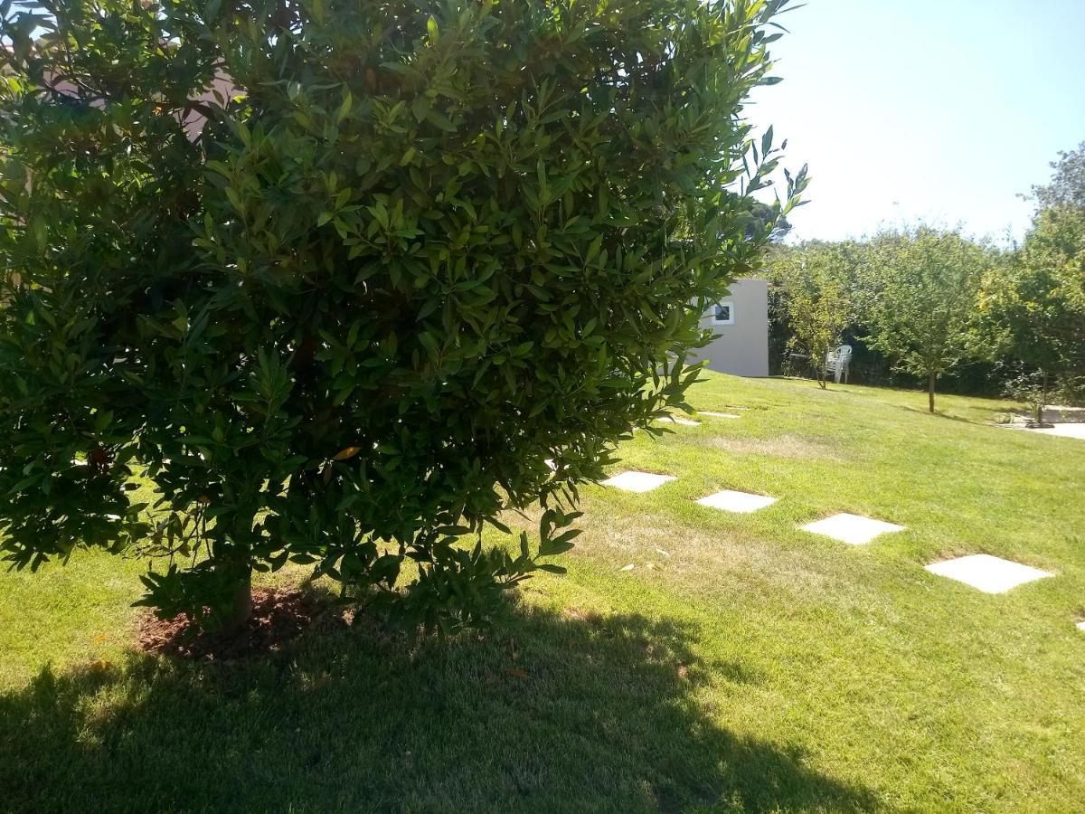 فيلا Casal Do Pinheiro Óbidos المظهر الخارجي الصورة
